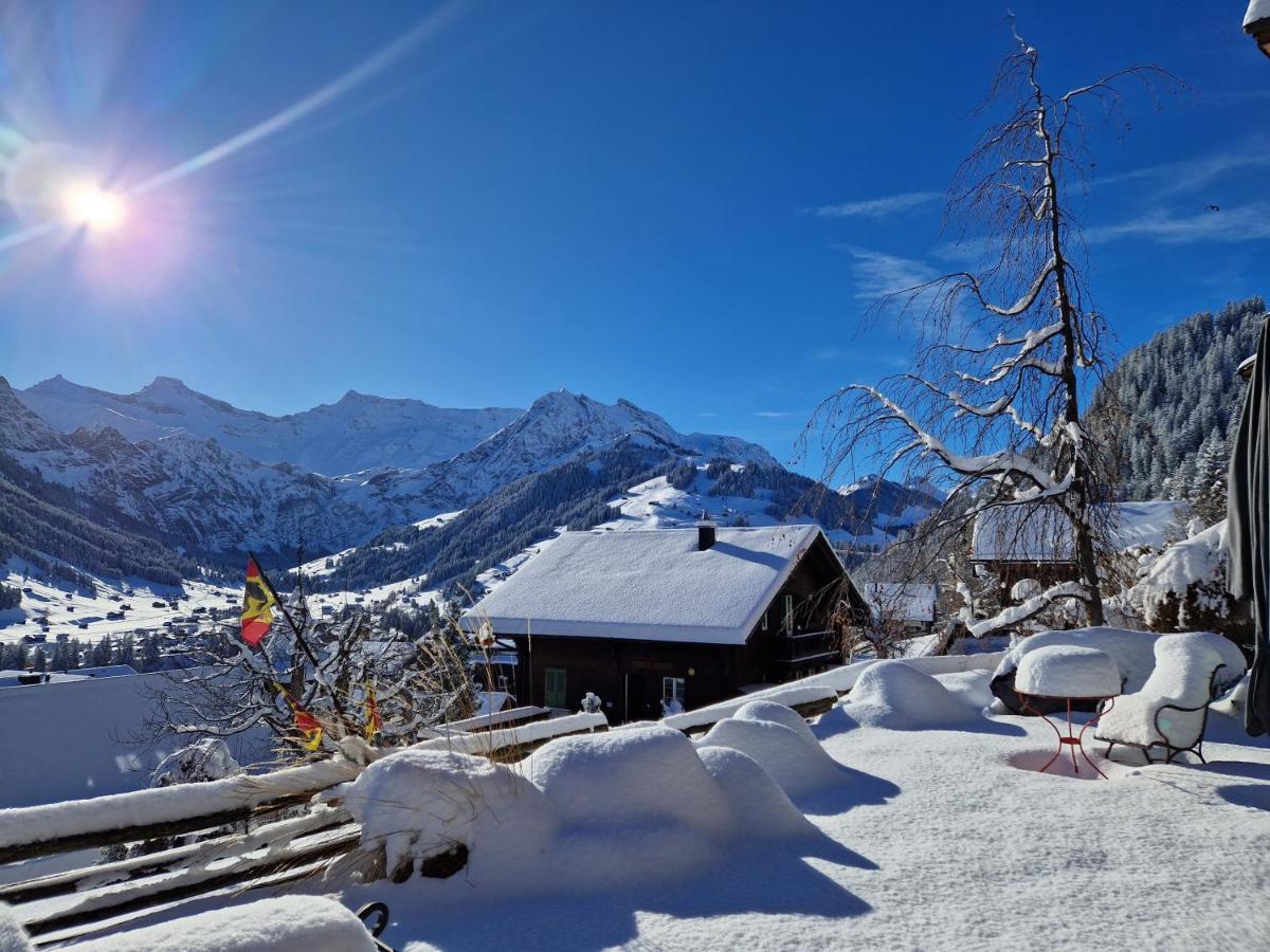 Chalet Gotthelf Gartenstudio, Ferien Mit Hund Adelboden Kültér fotó