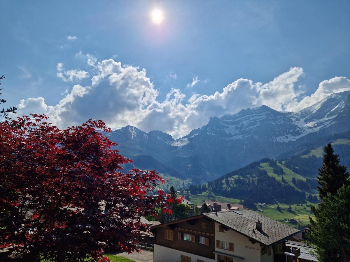 Chalet Gotthelf Gartenstudio, Ferien Mit Hund Adelboden Kültér fotó