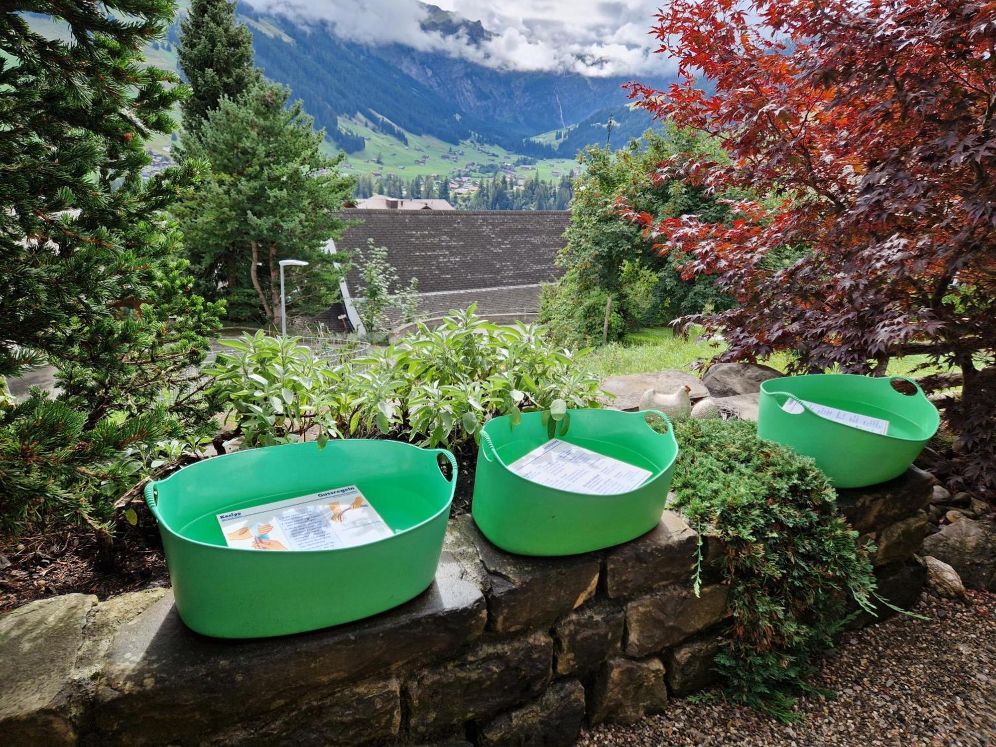 Chalet Gotthelf Gartenstudio, Ferien Mit Hund Adelboden Kültér fotó