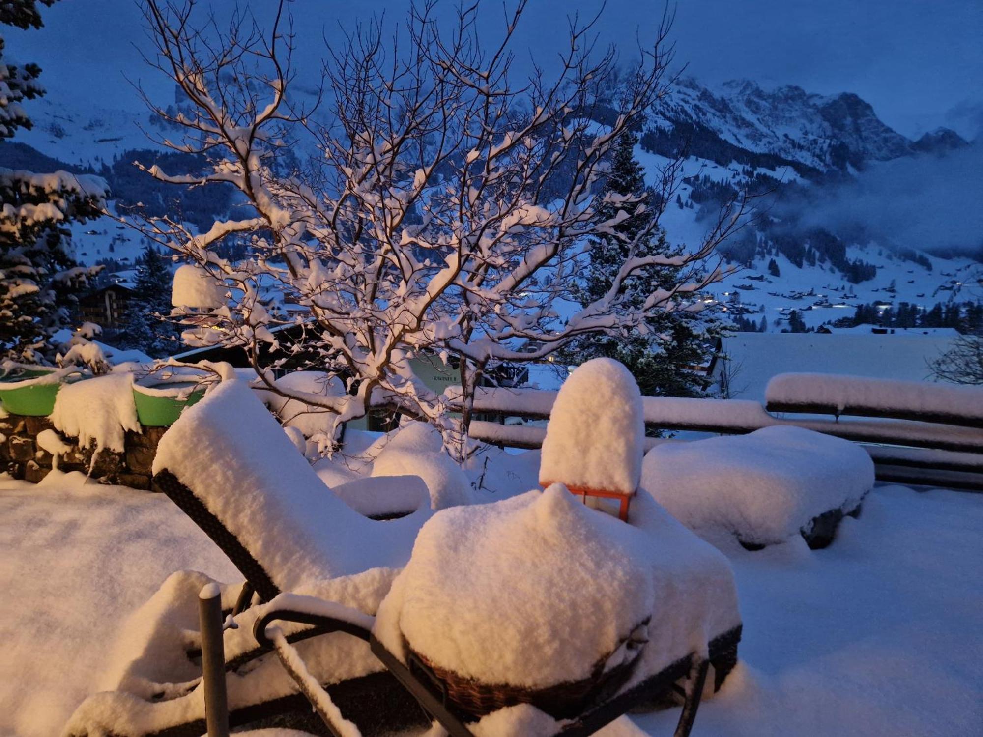 Chalet Gotthelf Gartenstudio, Ferien Mit Hund Adelboden Kültér fotó