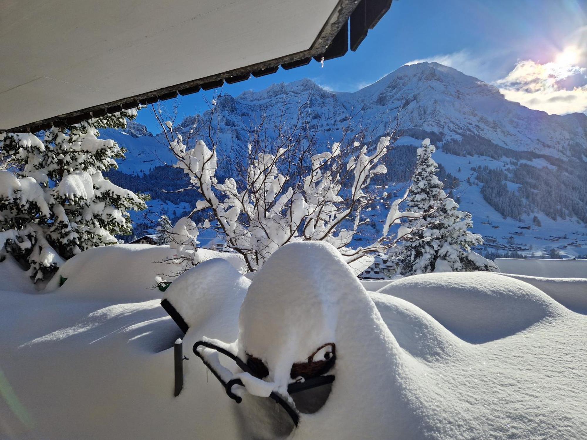 Chalet Gotthelf Gartenstudio, Ferien Mit Hund Adelboden Kültér fotó