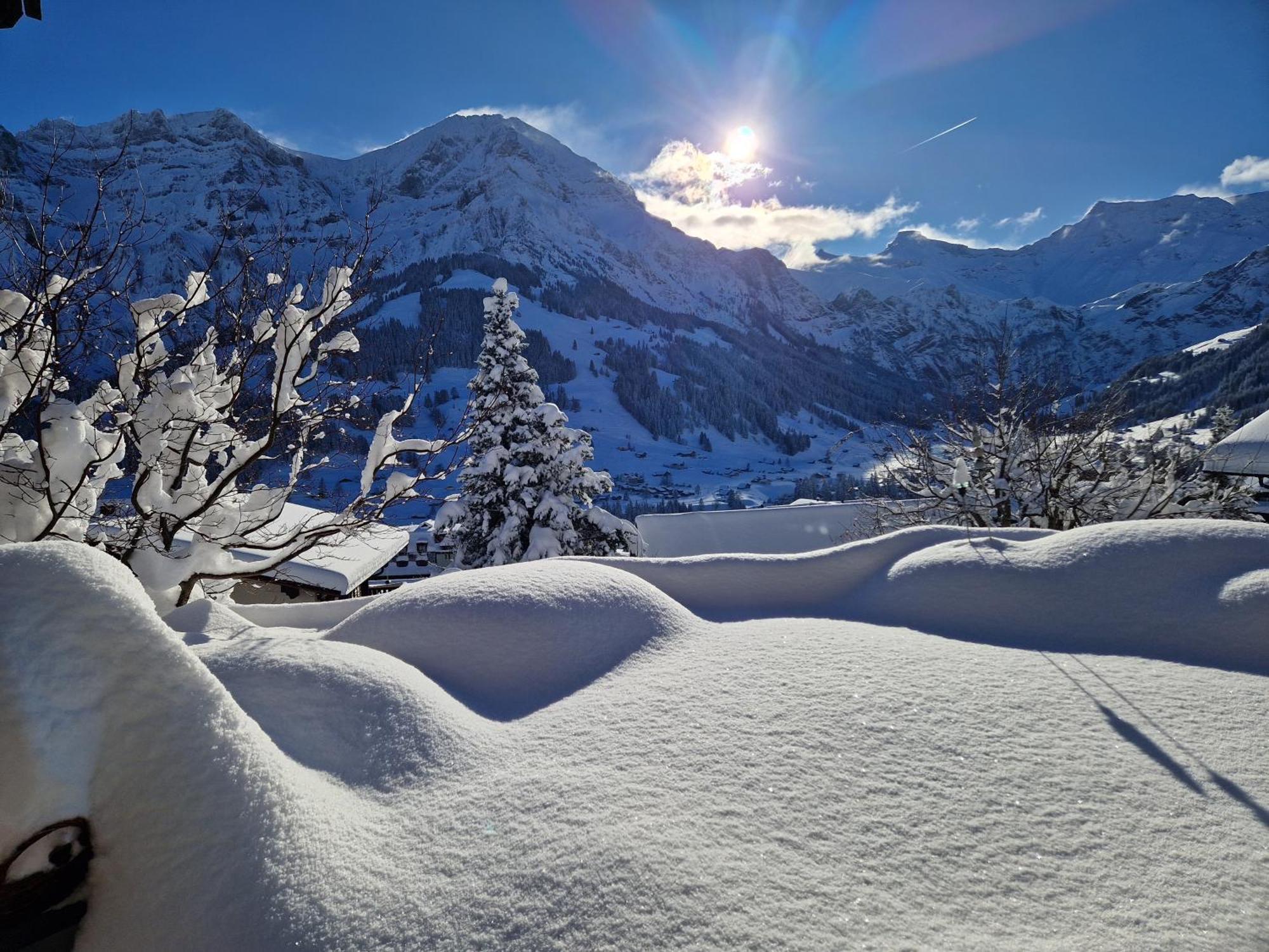 Chalet Gotthelf Gartenstudio, Ferien Mit Hund Adelboden Kültér fotó